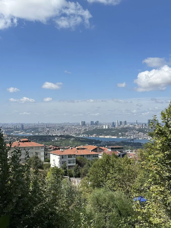 Ala Bosphorus Fotoğraf 3