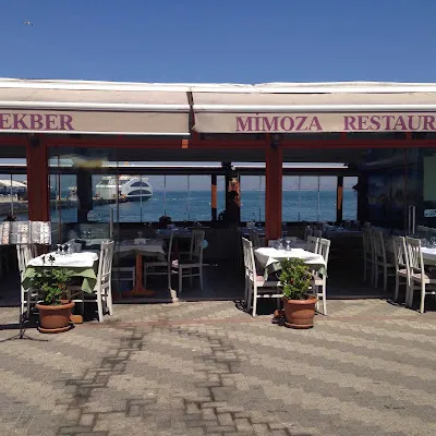 Mimoza Restaurant