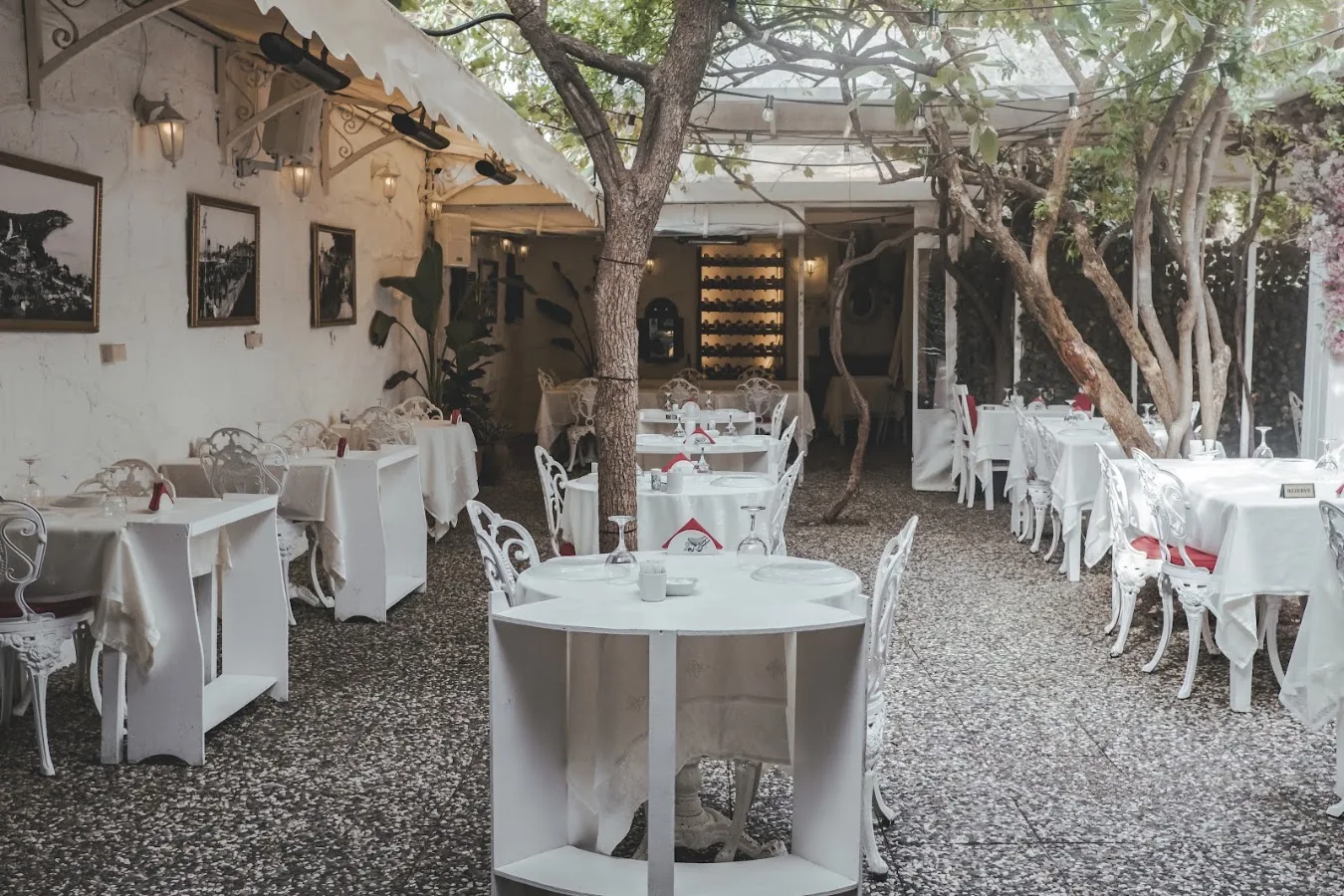 Büyükada'nın Saklı Cenneti: Secret Garden Restaurant Lezzet, Ambiyans ve Menü İncelemesi